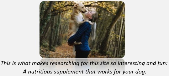 Pet nutrition. Woman holding up and hugging her dog.