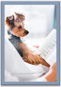 Dog in lap reading book with owner.