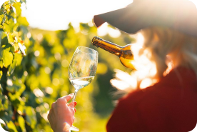 Woman in vineyard pouring glass of wine on sunny day.